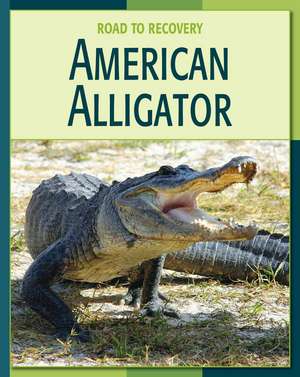 American Alligator de Susan H. Gray