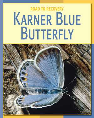 Karner Blue Butterfly de Susan Heinrichs Gray