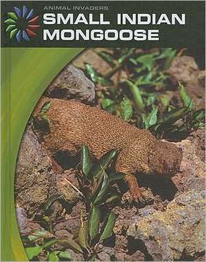 Small Indian Mongoose de Barbara A. Somervill