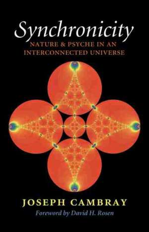 Synchronicity: Nature and Psyche in an Interconnected Universe de Joseph Cambray