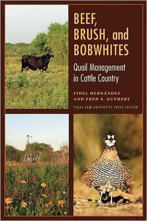 Beef, Brush, and Bobwhites: Quail Management in Cattle Country de Fidel Hernandez