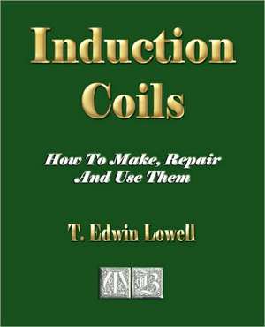 Induction Coils - How to Make, Repair and Use Them: The Greek Vase de T. Edwin Lowell