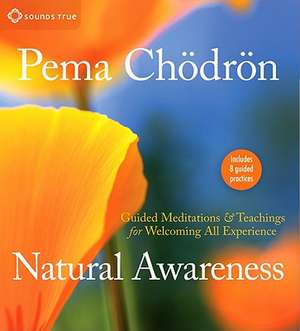 Natural Awareness de Pema Chodron