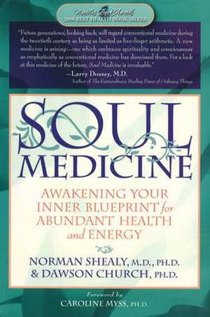 Soul Medicine: Awakening Your Inner Blueprint for Abundant Health and Energy de Dawson Church Ph.D. Ph.D.