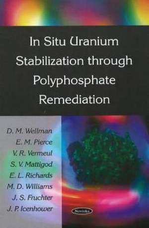 In Situ Uranium Stabilization Through Polyphosphate Remediation de D.M. Wellman