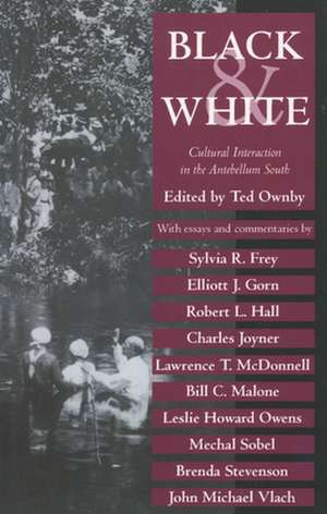 Black and White: Cultural Interaction in the Antebellum South de Ted Ownby