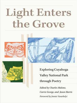 Light Enters the Grove de Charles Malone