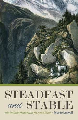 Steadfast and Stable: The Biblical Foundation for Your Faith de Monte Leavell