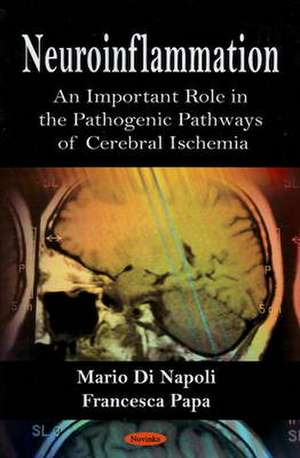 Neuroinflammation: An Important Role in the Pathogenic Pathways of Cerebral Ischemia de Mario Di Napoli