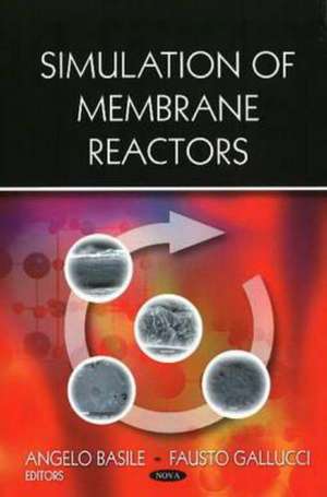 Simulation of Membrane Reactors de Angelo Basile