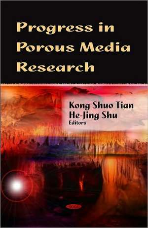 Progress in Porous Media Research de Kong Shuo Tian