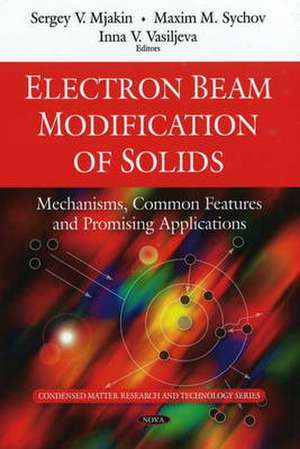 Electron Beam Modification of Solids de Sergey V. Mjakin