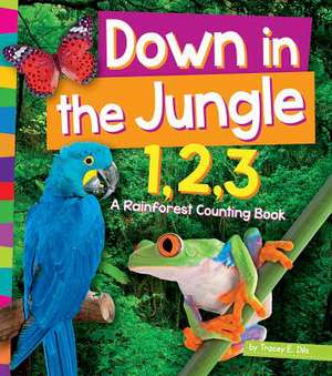 Down in the Jungle 1,2,3: A Rainforest Counting Book de Tracey E. Dils