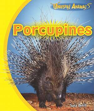 Porcupines de Sara Antill