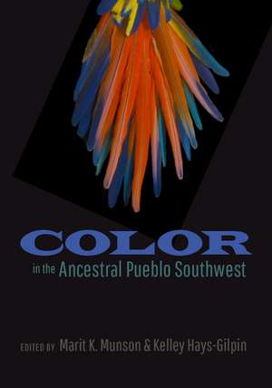 Color in the Ancestral Pueblo Southwest de Marit K. Munson