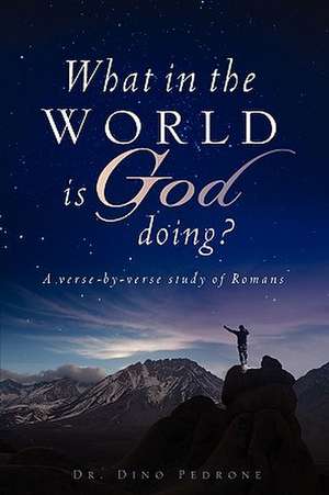 What in the World Is God Doing? de Dino Pedrone