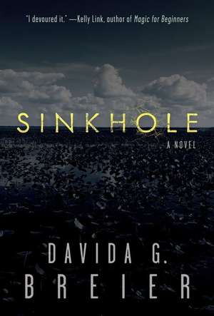 Sinkhole de Davida Breier