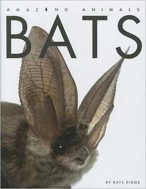 Bats de Kate Riggs