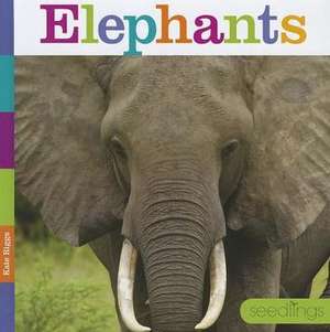 Elephants de Kate Riggs