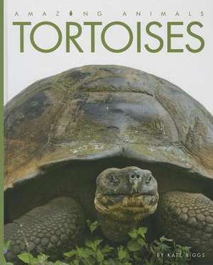 Tortoises de Kate Riggs