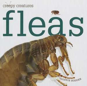 Fleas de Valerie Bodden