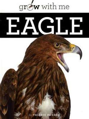 Eagle de Valerie Bodden