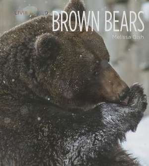 Brown Bears de Melissa Gish