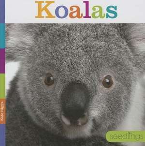 Koalas de Kate Riggs