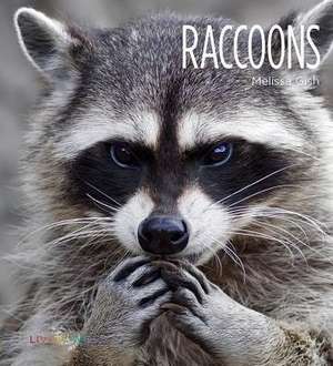 Raccoons de Melissa Gish