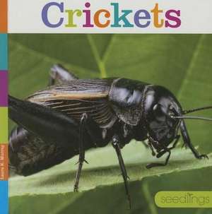 Crickets de Laura K. Murray