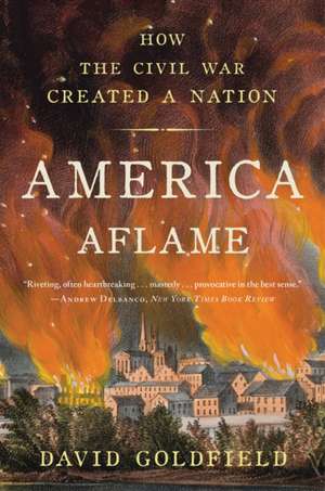 America Aflame: How the Civil War Created a Nation de David Goldfield