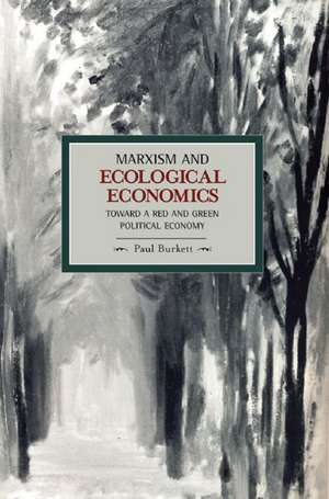 Marxism And Ecological Economics: Toward A Red And Green Poltical Economy: Historical Materialism, Volume 11 de Paul Burkett