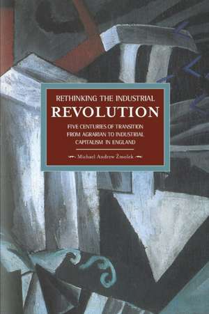 Rethinking The Industrial Revolution: Five Centuries Of Transition From Agrarian To Industrial Capitalism In: Historical Materialism, Volume 49 de Michael Andrew Zmolek