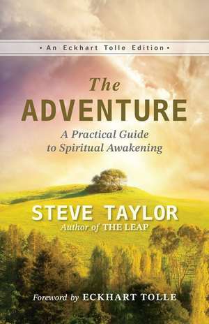 The Adventure de Steve Taylor