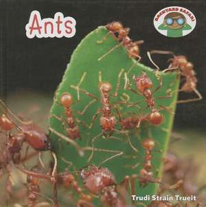 Ants de Trudi Strain Trueit