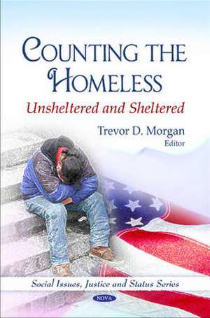 Counting the Homeless de Trevor D. Morgan