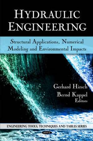 Hydraulic Engineering de Gerhard Hirsch