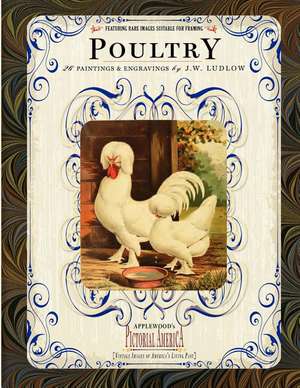 Poultry: 26 Paintings and Engravings by J. W. Ludlow de J. Ludlow