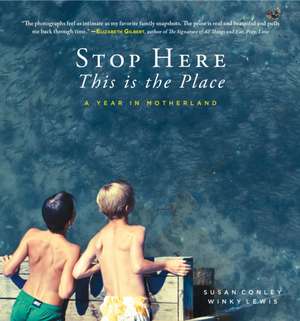 Stop Here, This Is the Place de Susan Conley