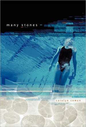 Many Stones de Carolyn Coman