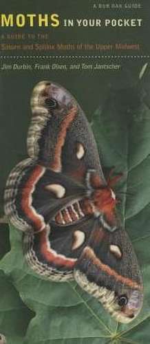 Moths in Your Pocket: A Guide to the Saturn and Sphinx Moths of the Upper Midwest de Jim Durbin