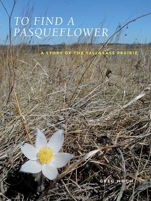 To Find a Pasqueflower: A Story of the Tallgrass Prairie de Greg Hoch