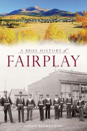 A Brief History of Fairplay de Linda Bjorklund