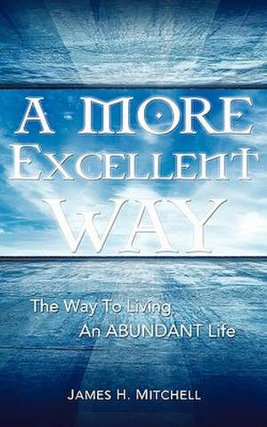 A More Excellent Way de James H. Mitchell