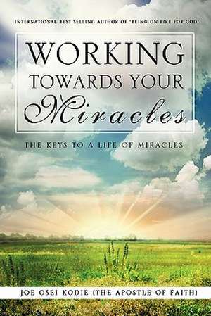 Working Towards Your Miracles de Joe Osei Kodie