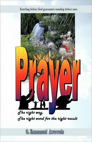 Prayer. the Right Way, the Right Word for the Right Result de O. E. Awowole