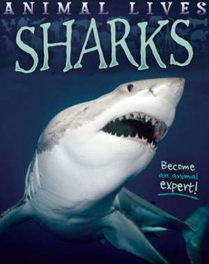 Sharks de Sally Morgan