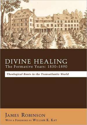 Divine Healing: Theological Roots in the Transatlantic World de James Robinson