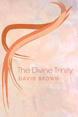 The Divine Trinity de David Brown