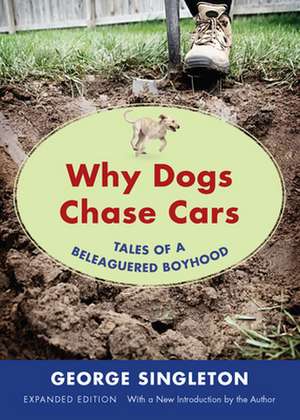 Why Dogs Chase Cars: Tales of a Beleaguered Boyhood de George Singleton